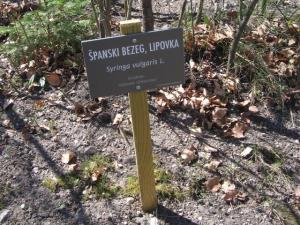 Dejavnosti biološkega krožka 5